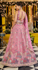 Lehenga Pink Color