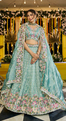 Lehenga Rama Color
