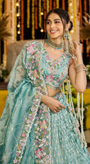Lehenga Rama Color