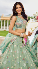 Lehenga Rama Color